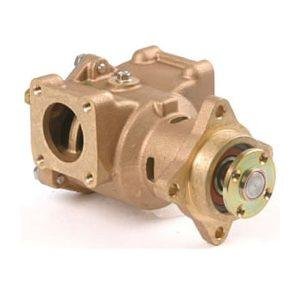Raw Water Pump