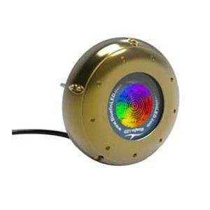 BLUEFIN Hammerhead h48 24v color change surface mnt light